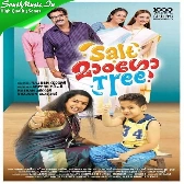Salt Mango Tree
