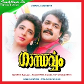Maliniyude Theerangal-(SouthMusic.Live)