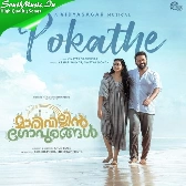 Pokathe-(SouthMusic.Live)