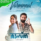 Varminnal-(SouthMusic.Live)