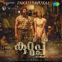 Paathira Kaalam