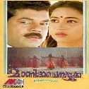 Parvanendu