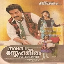 Ponnambilipottum Thottu