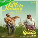 Ambili Raavu