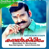 Kanalkireedam