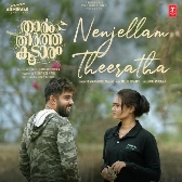 Nenjellam Theeratha-(SouthMusic.Live)