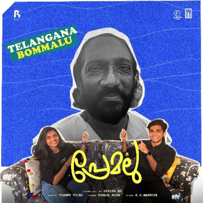 Telangana Bommalu