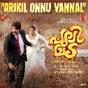 Arikil Onnu Vannal